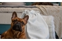 Κάλυμμα Pet Friendly PRK-0650-0009 Efdeco
